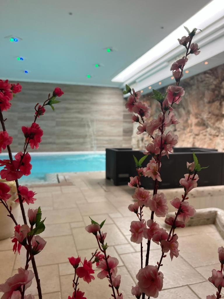 צ'לייה מספיקה Hotel Madonna Delle Grazie מראה חיצוני תמונה